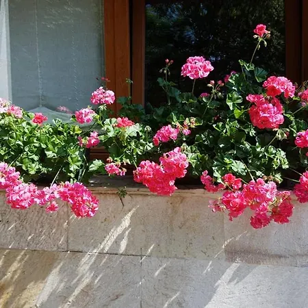 فيلة Aliga Etxea. & Mountain Village