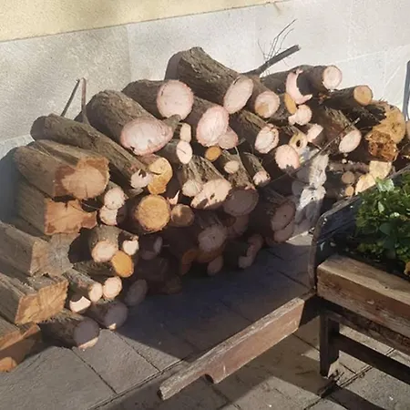 فيلة Aliga Etxea. & Mountain Village *