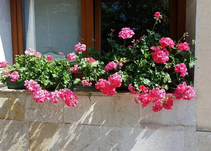 Villa Aliga Etxea. & Mountain Village